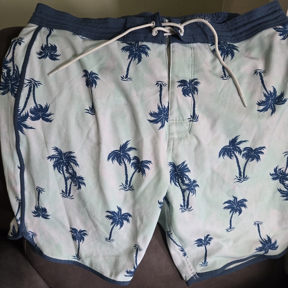 Old Navy Size 36 Palm Tree Print Swim Trunks Blue Mint Tropical Beach Performanc
